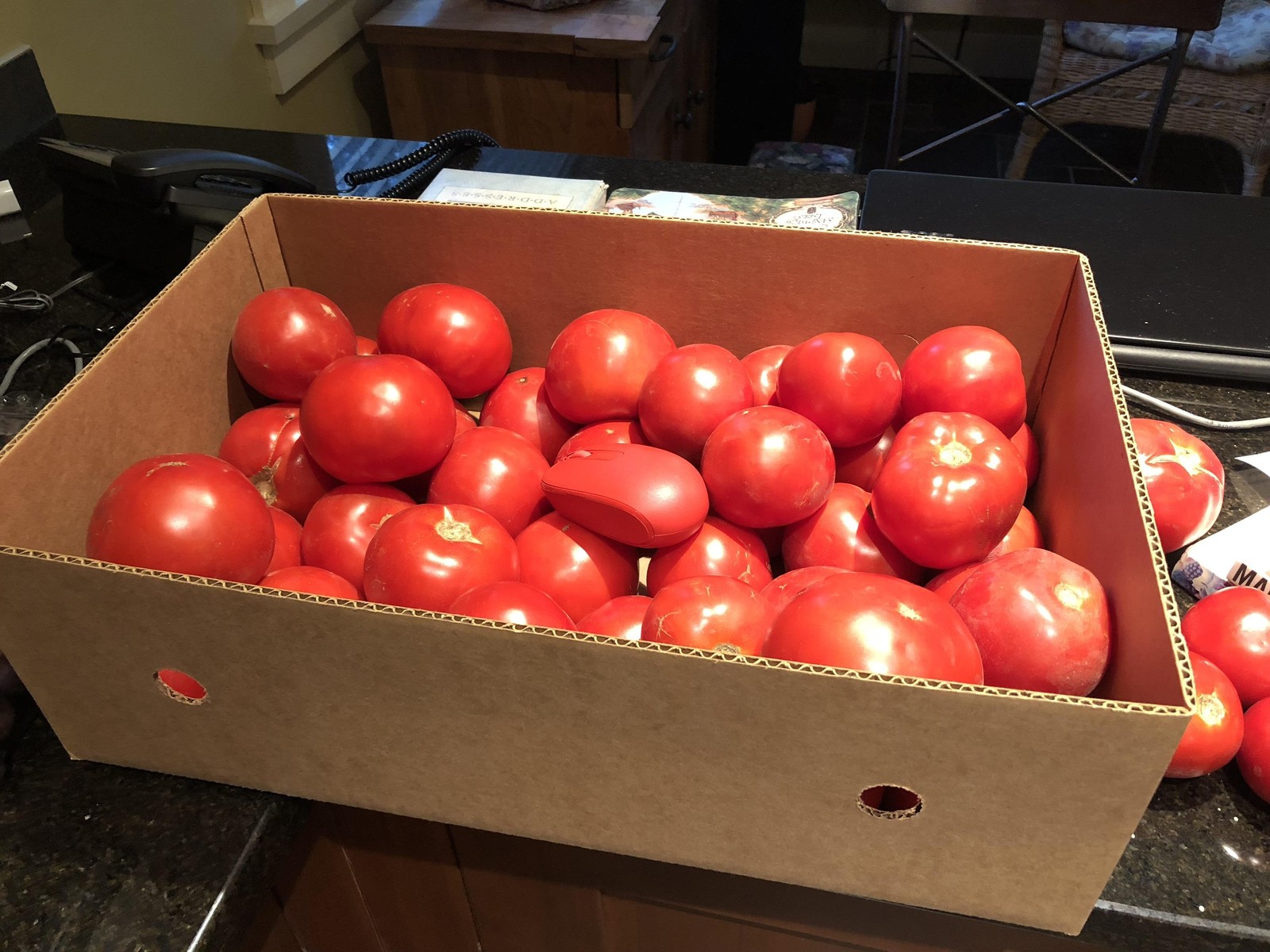 The mouse climbed into the tomato box - Reddit, Memes, , Tag