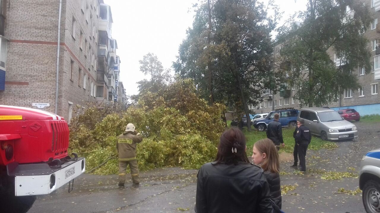 Aftermath of Hurricane Joby. - Hurricane, Consequences, Weather, Khabarovsk region, Vanino, Sovetskaya Gavan, Longpost