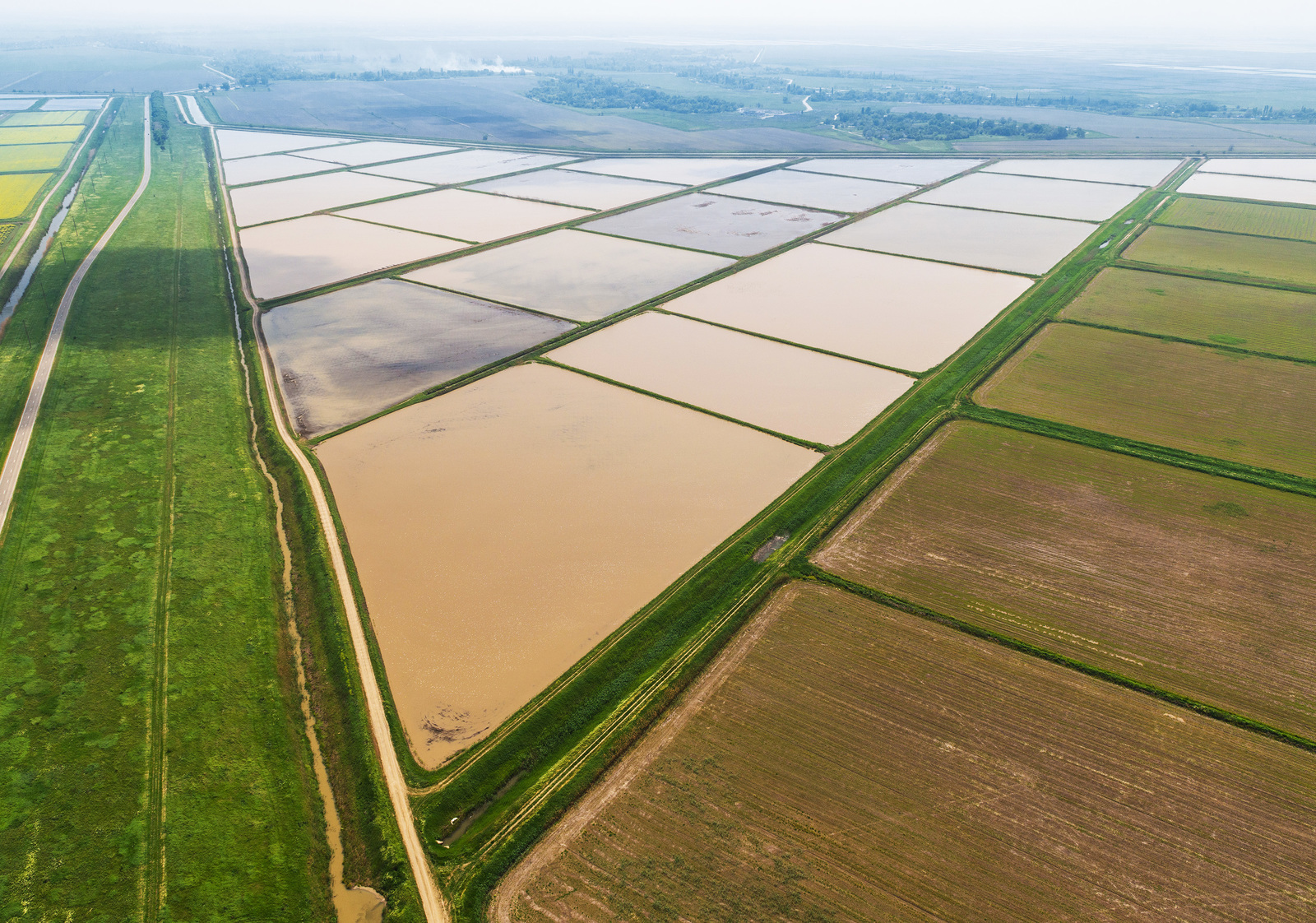 Рисовые поля Славянск на Кубани