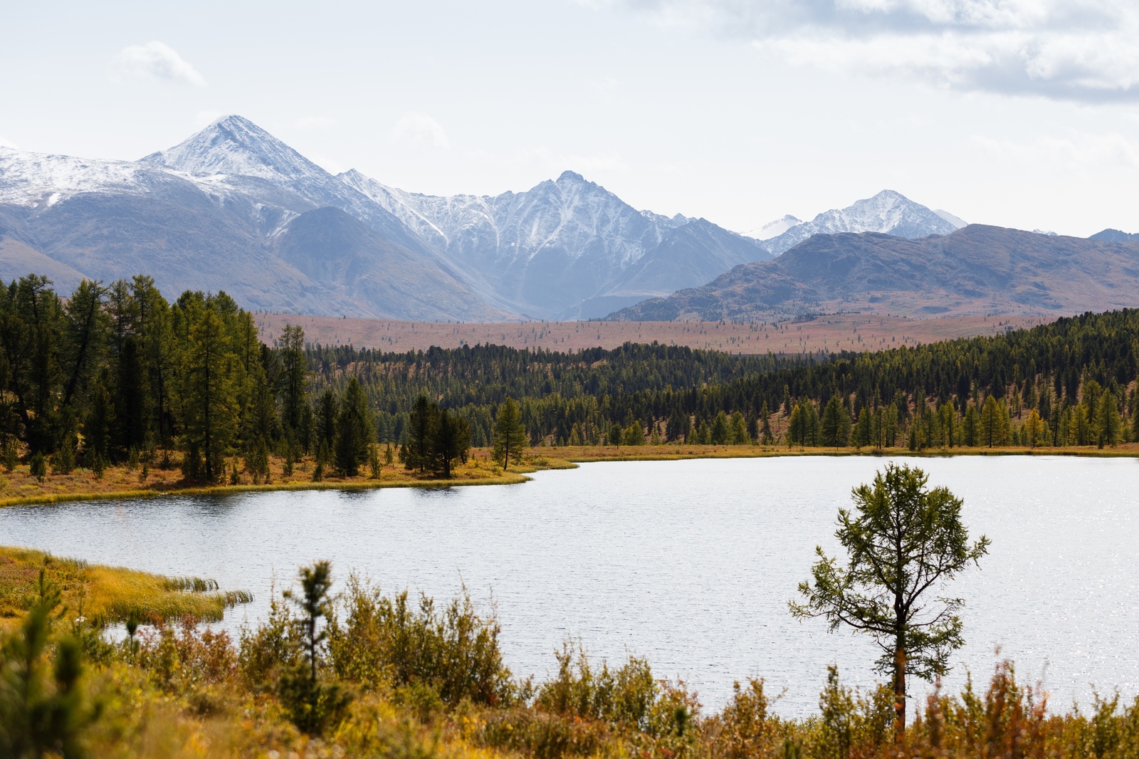 Autumn in the mountains - My, Landscape, Nature, The photo, Altai, The mountains, Mountain Altai, Autumn, Photographer, Longpost, Altai Republic