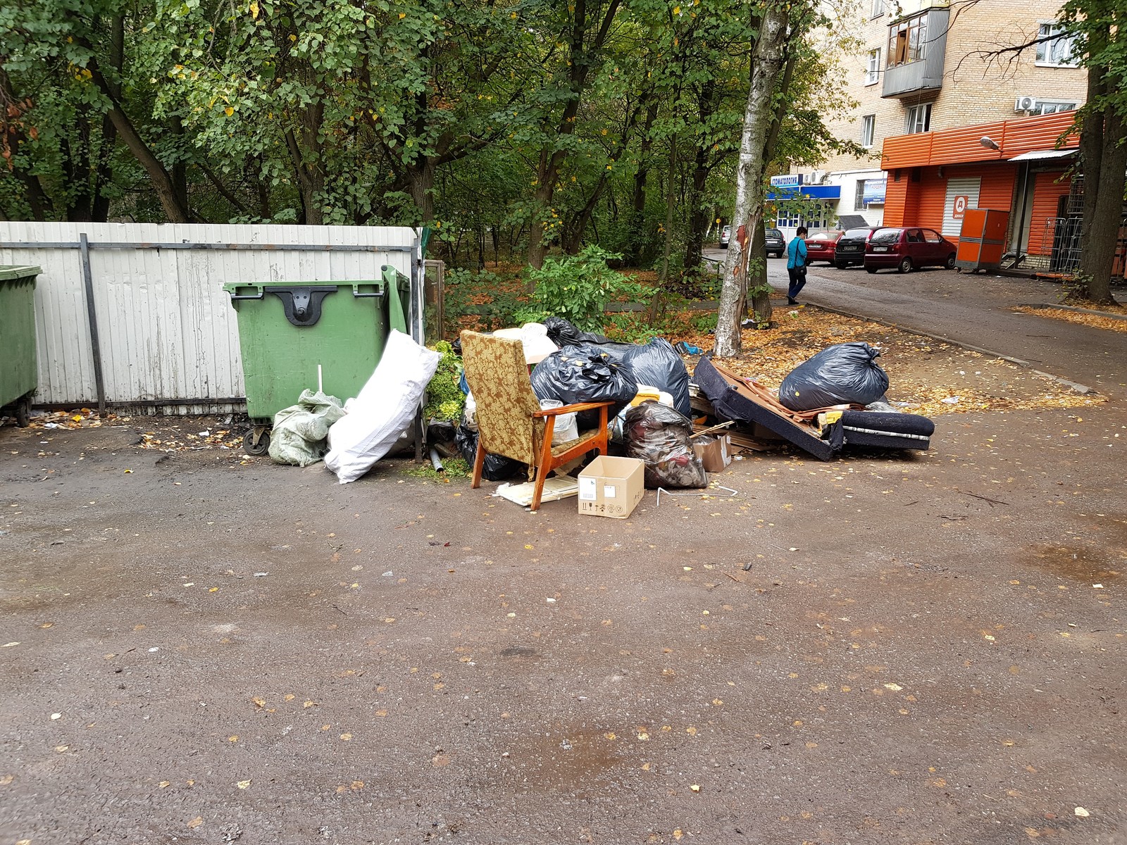 Pushkino near Moscow is buried in garbage - My, Garbage, Подмосковье, Pushkino, Problem, Disgusting, Inaction of the authorities, Trash heap, Longpost