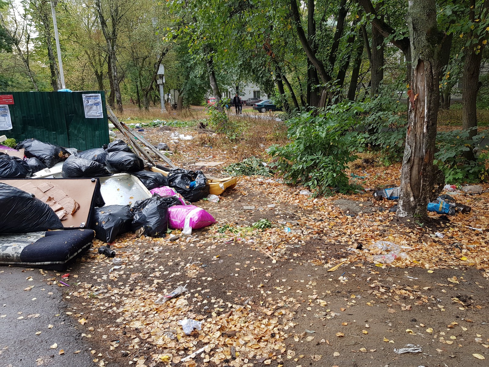 Pushkino near Moscow is buried in garbage - My, Garbage, Подмосковье, Pushkino, Problem, Disgusting, Inaction of the authorities, Trash heap, Longpost