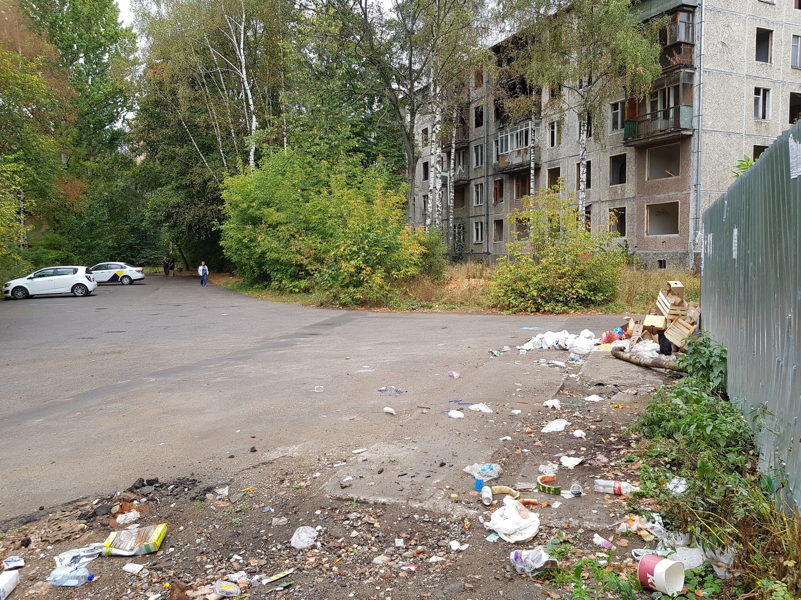 Pushkino near Moscow is buried in garbage - My, Garbage, Подмосковье, Pushkino, Problem, Disgusting, Inaction of the authorities, Trash heap, Longpost