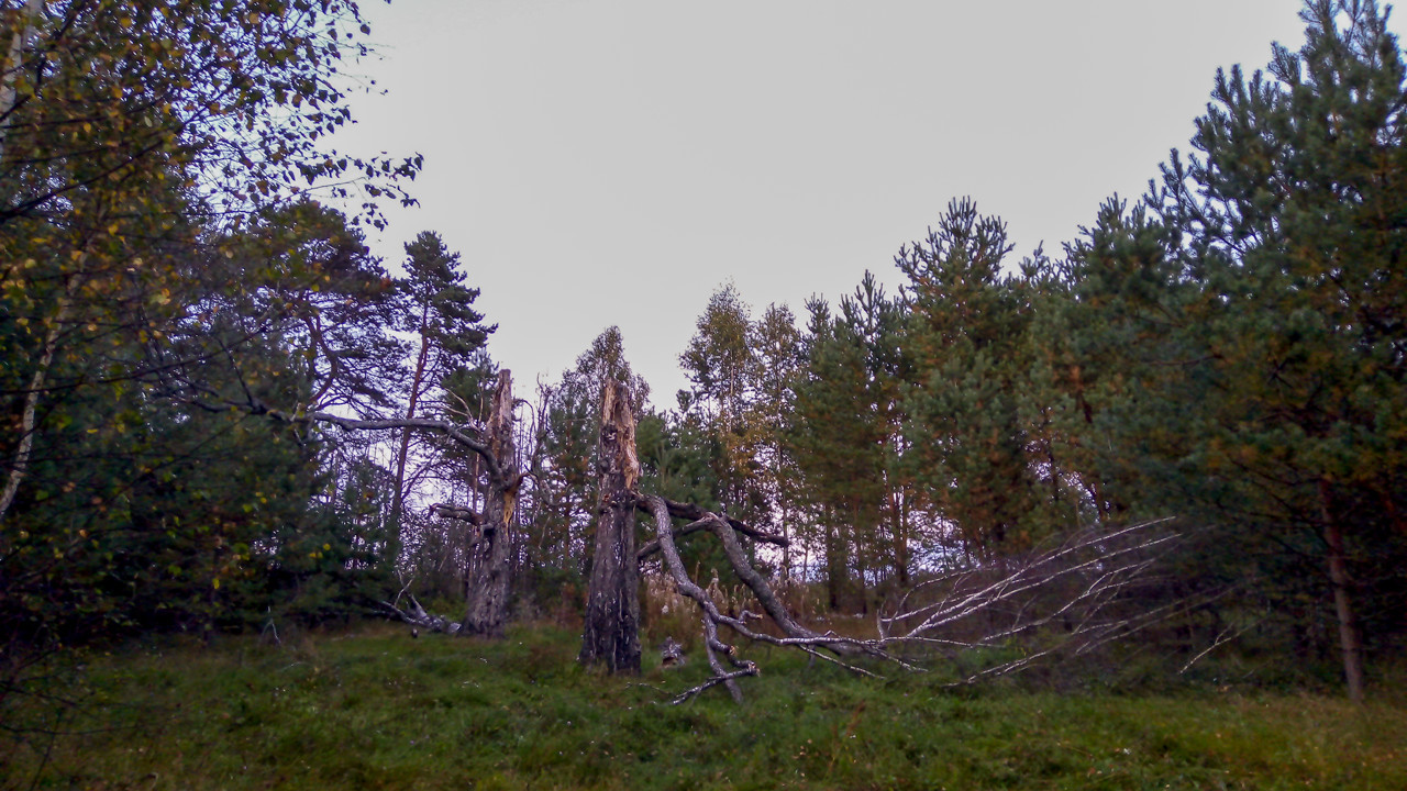 Two-day bike tour in the Tver region - My, Tver, Tver region, The photo, Bike trip, A bike, Torzhok, The nature of Russia, Longpost