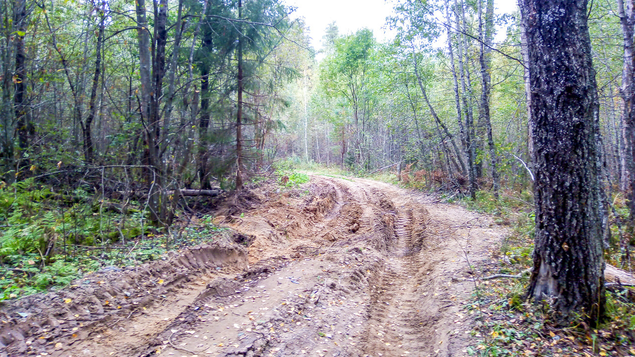 Two-day bike tour in the Tver region - My, Tver, Tver region, The photo, Bike trip, A bike, Torzhok, The nature of Russia, Longpost