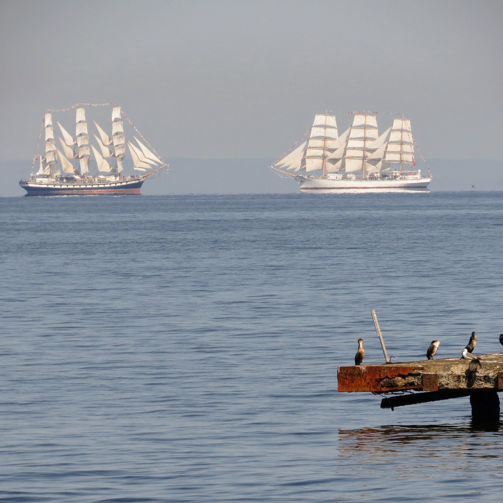 sail parade - My, Sailboat, Надежда, Pallas, Vladivostok, Longpost