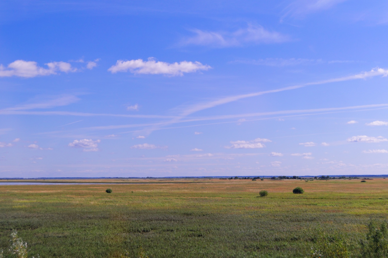 Horizon - My, Horizon, Field, Sky, The photo