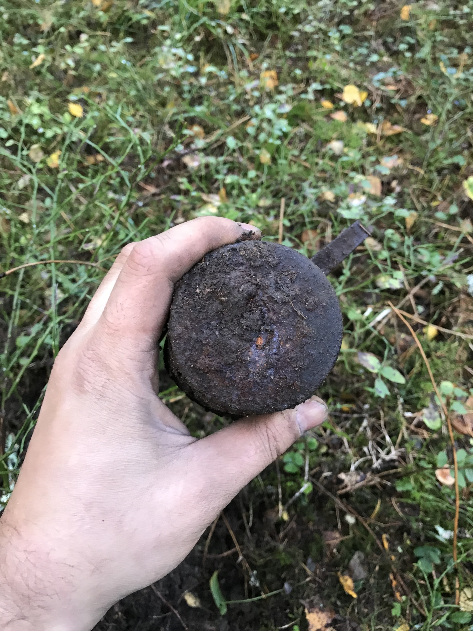 Unexpected finds at the Kotovo tract, Karelian Isthmus. - My, Excavations, The Second World War, Story, Numismatics, France, Coin, Finland, Archeology, Longpost