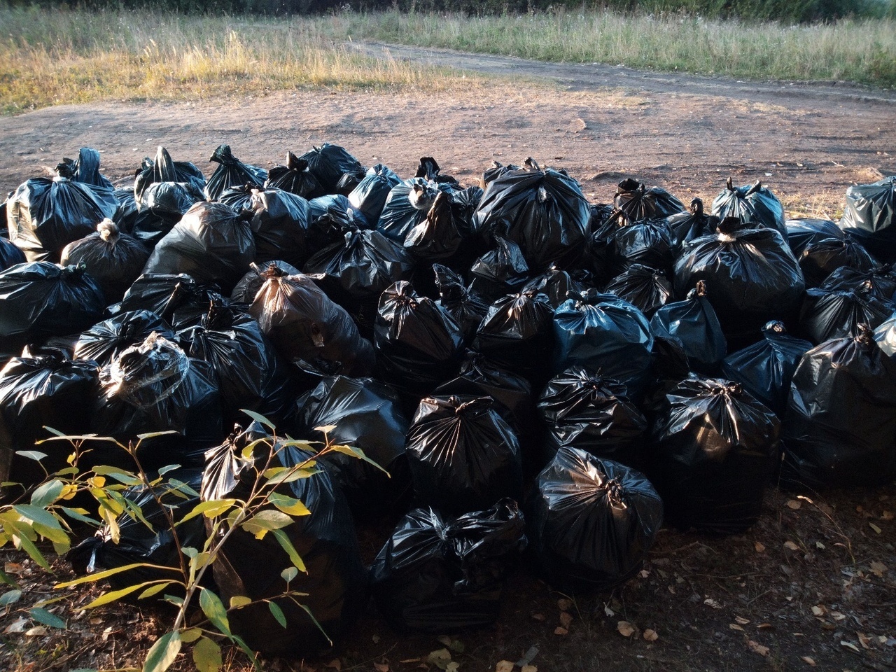 Volunteers in Penza held an action Let's do it! - My, Ecology, Cleaning, Youth, Saturday clean-up, Nature, Penza, Longpost