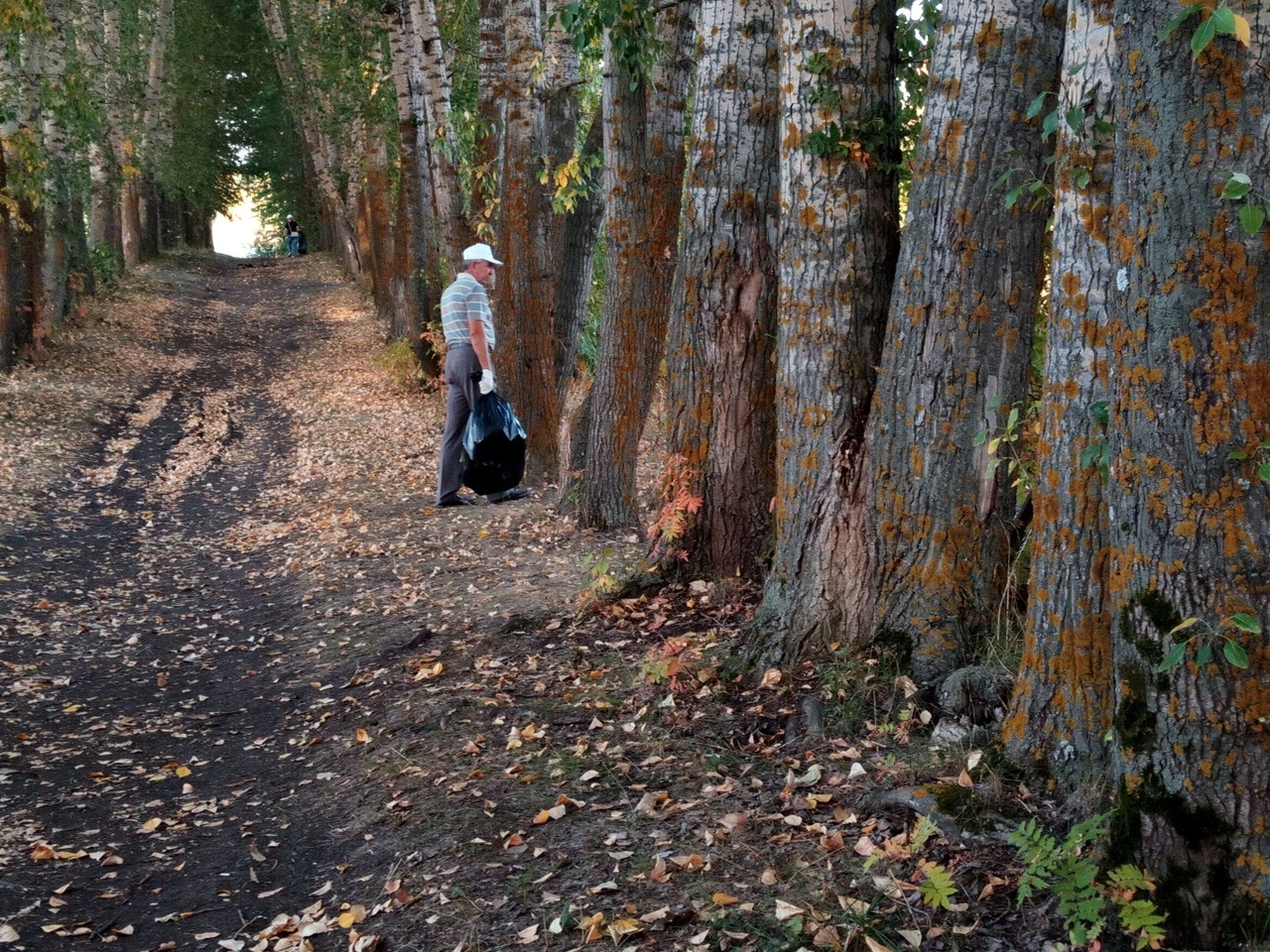 Volunteers in Penza held an action Let's do it! - My, Ecology, Cleaning, Youth, Saturday clean-up, Nature, Penza, Longpost