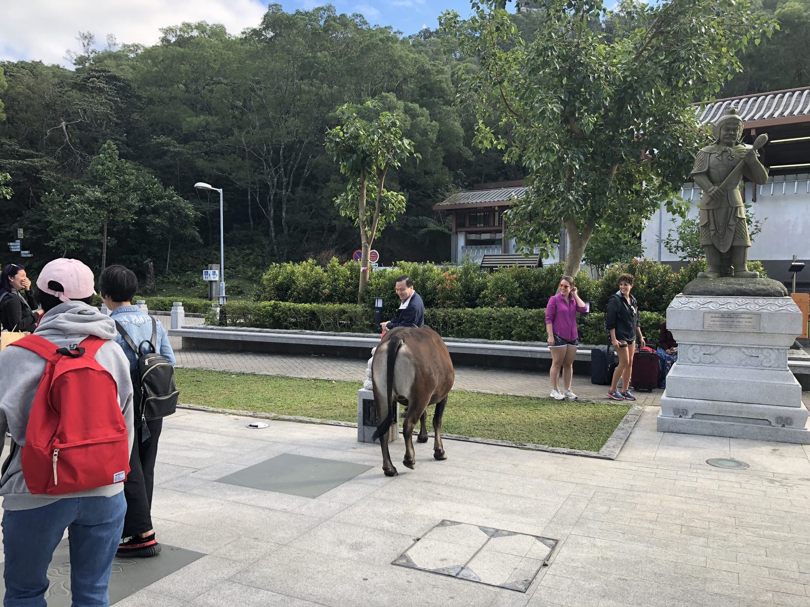 A week in Hong Kong (and Macau) part 4.2. o.Lantao (aka Dayuidao) - My, Hong Kong, Travels, China, Buddha, The statue, Nature, Lantau, Longpost, Sculpture