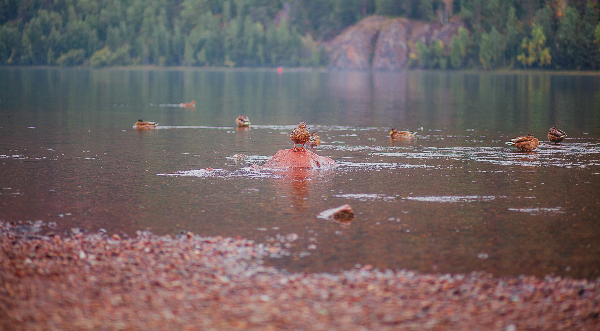 Divnogorsk - My, Siberia, Divnogorsk, Canon, My, Longpost