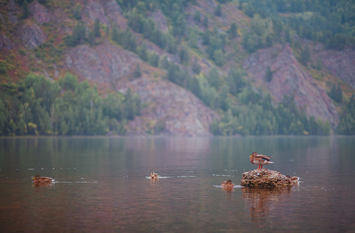 Divnogorsk - My, Siberia, Divnogorsk, Canon, My, Longpost