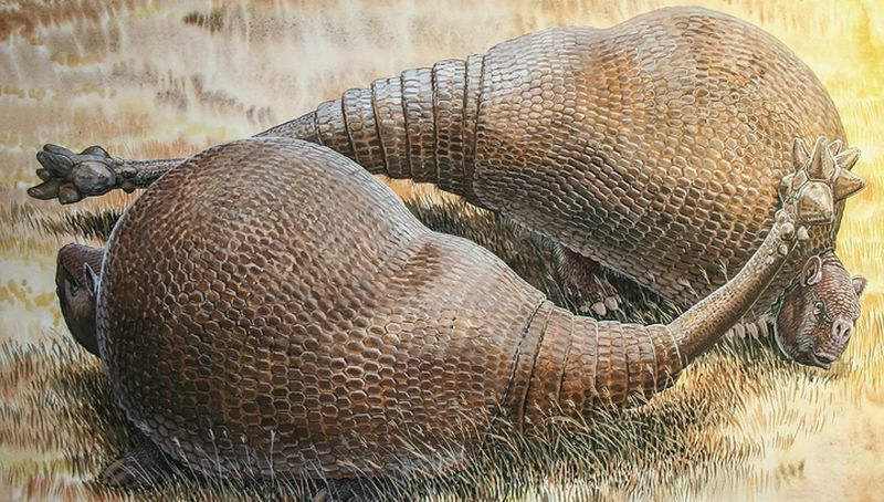 Doedicurus: Mace-tailed armored cavalry - My, , Paleontology, Animals, Battleship, Wild animals, Nature, Animal book, Longpost