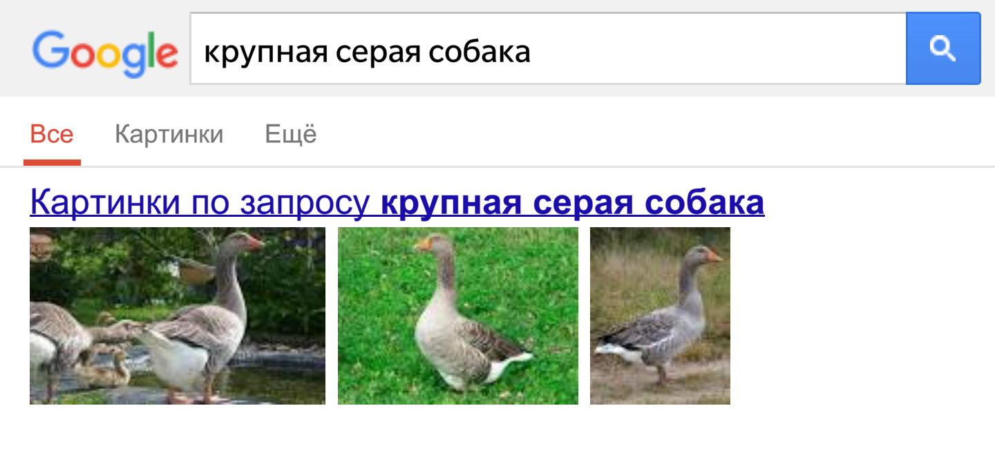 Google doesn't seem to like geese much - Google request, Гусь, Dog, Search queries