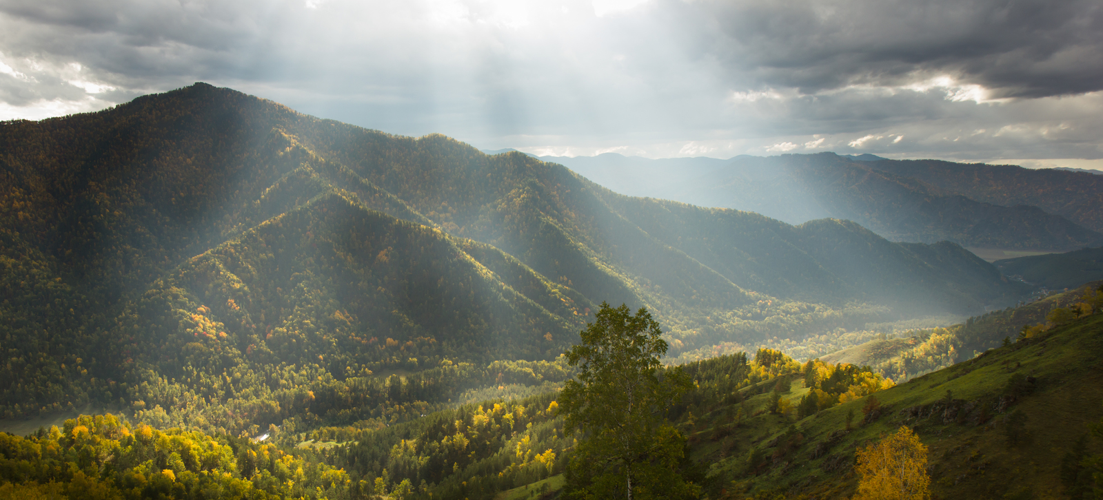 Some autumn colors of Altai. - My, Altai, Mountain Altai, Autumn, Pears, Tumbleweed, The photo, Altai Republic