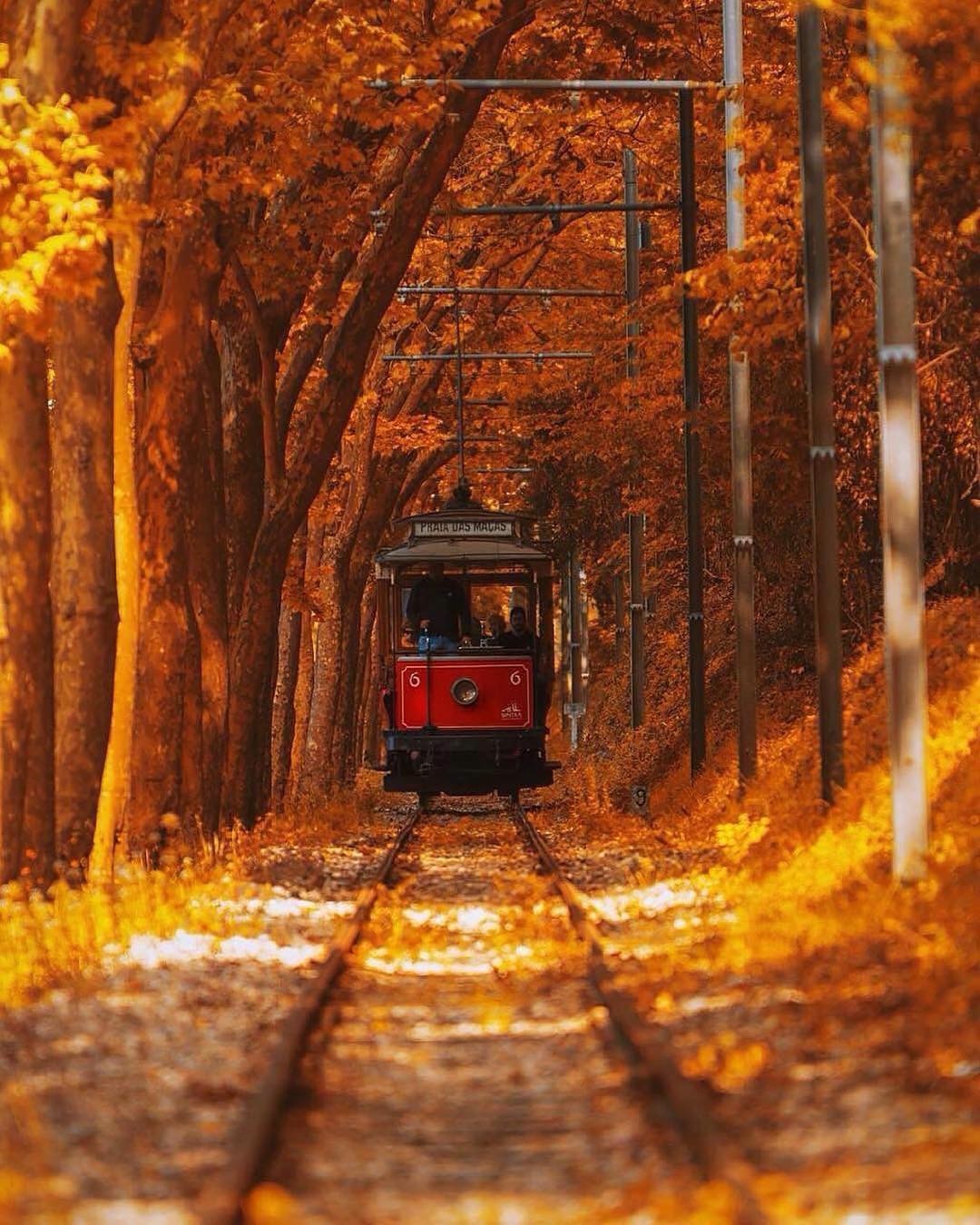 Autumn Way - Autumn, Transport, Rails, Paints