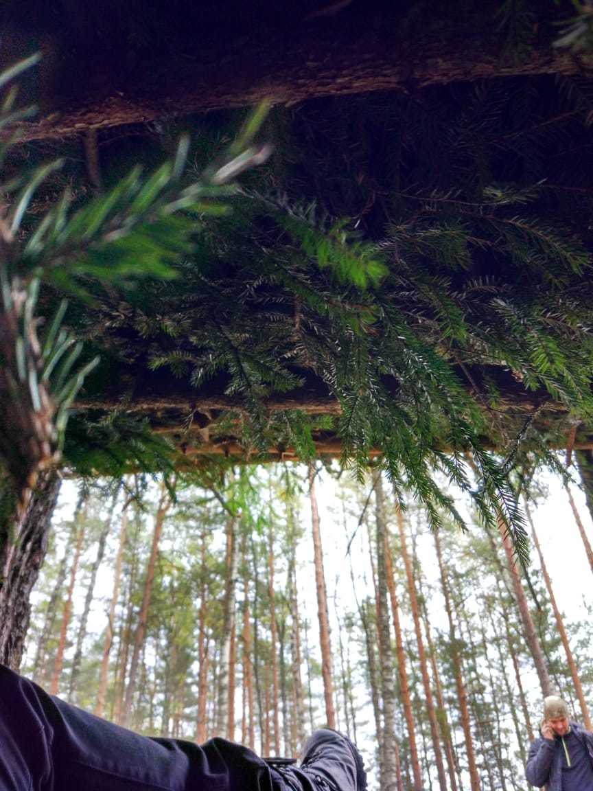 Peek-a-boo survival part 3. Report. - My, Hike, Survival, Hut, PVD, Nature, Longpost