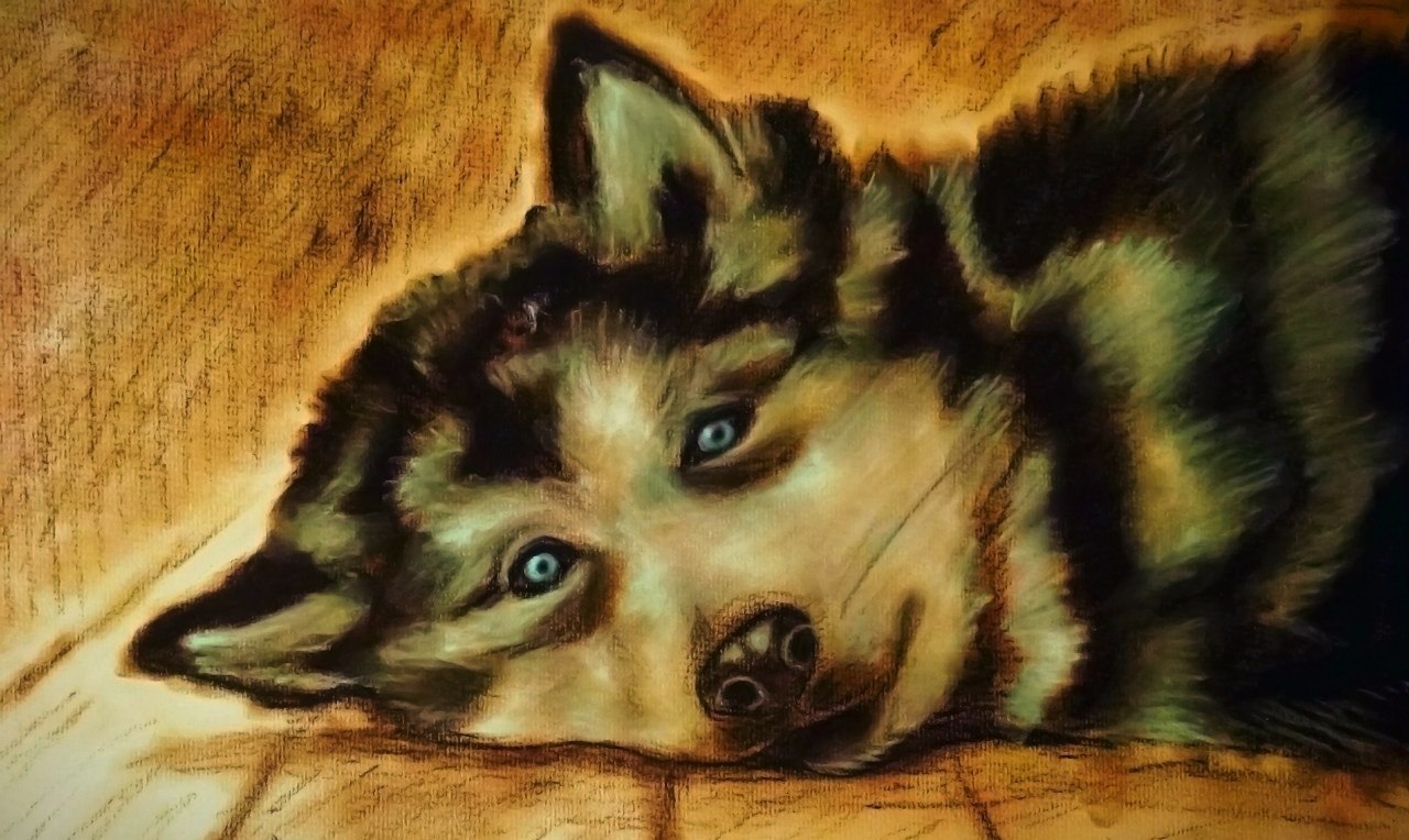 My first pastel dog drawn a few years ago... and it seems to have melted =D - My, Husky, Pastel, , 