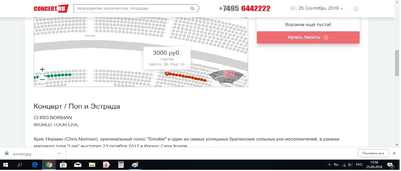 Как зарабатывают билетные спекулянты? - Бизнес, Билеты на концерт, Длиннопост