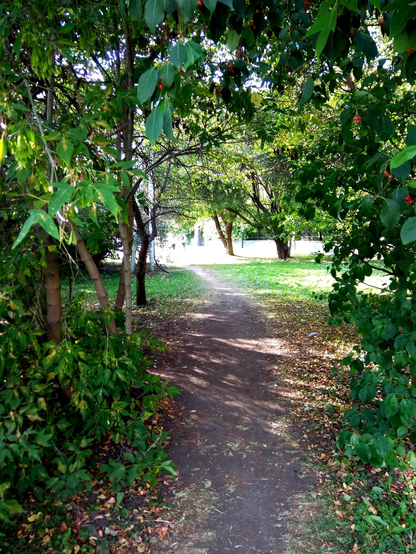 Last day of summer. - My, Yekaterinburg, Walk, Summer, The photo, Longpost