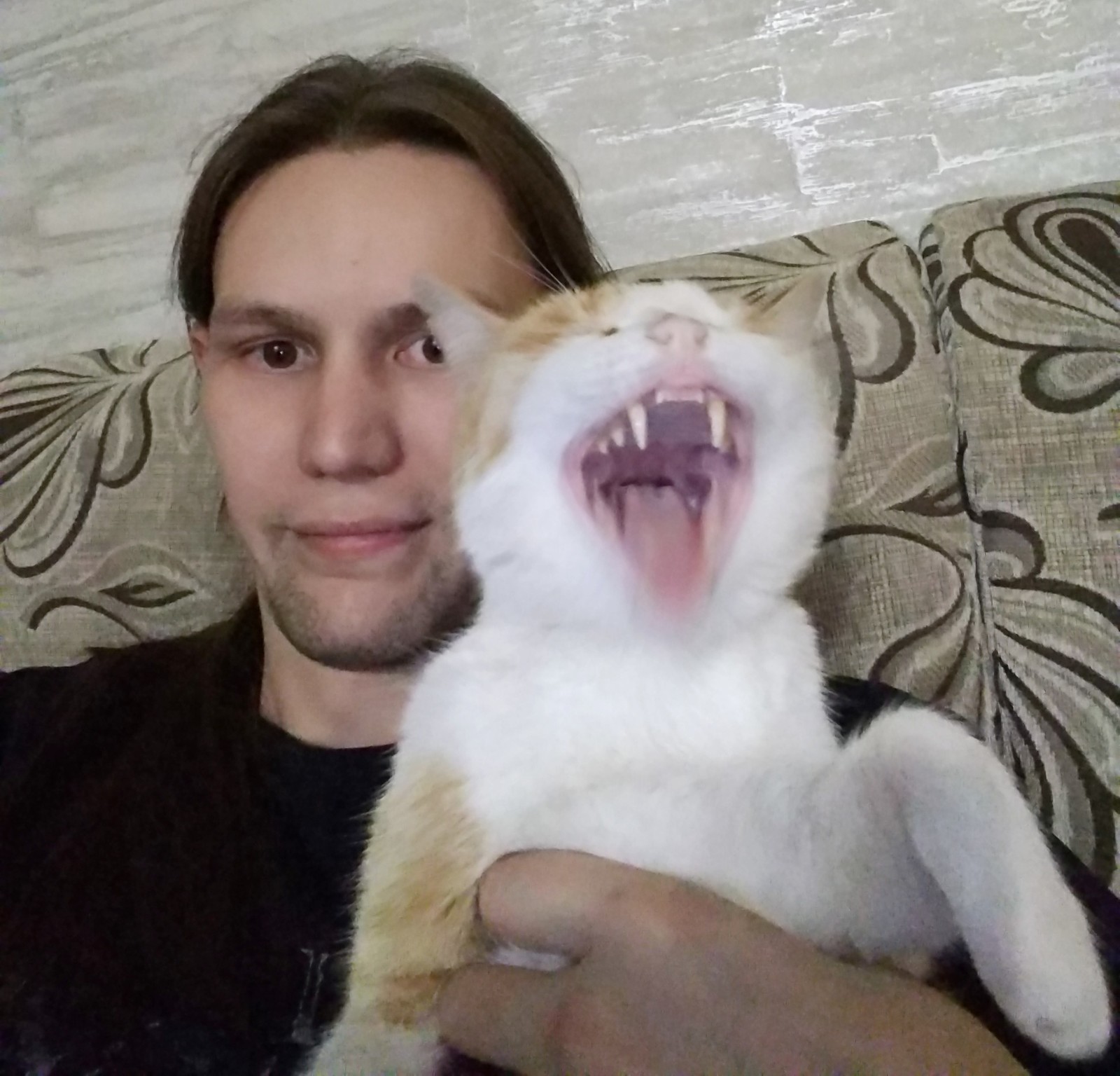 The cat is fine.) - My, Selfie, cat