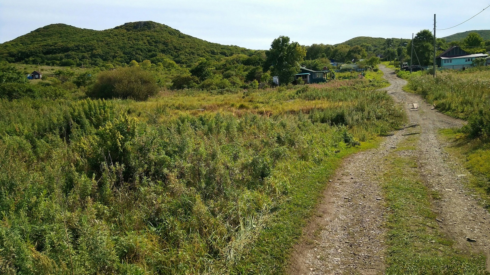 Reinecke Island: tourism in Primorye - , media, Blog, , Primorsky Krai, Vladivostok, Tourism, Island, Longpost, Media and press