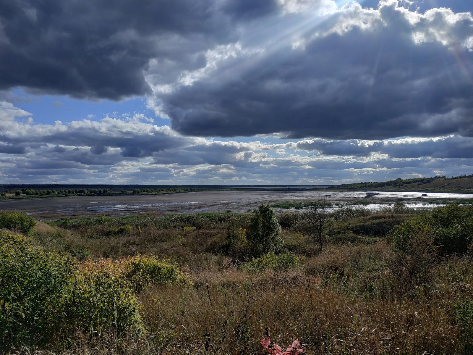 drained pond - My, Pond, The photo, Nature, Voronezh region