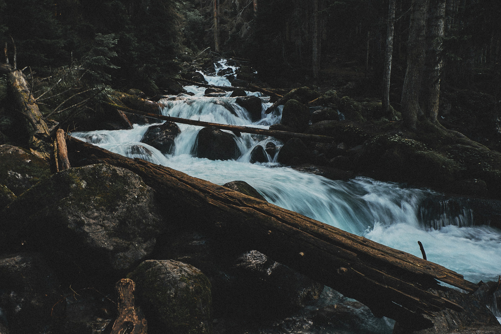 Trip to the Caucasus, part 1 - My, Caucasus, Travels, The photo, Dombay, Nature, Longpost