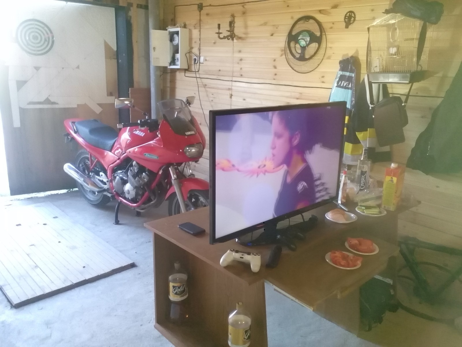 Not a garage, but a dream ;) - My, Garage, Playstation 4, TV set, Relaxation, Beer, Vodka, Friends, Longpost