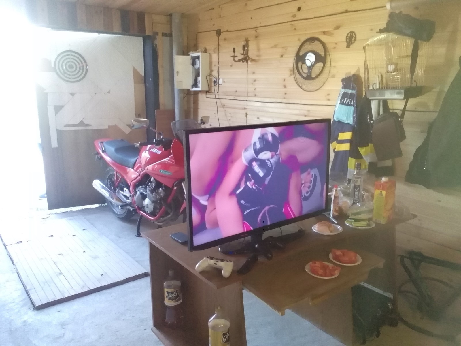 Not a garage, but a dream ;) - My, Garage, Playstation 4, TV set, Relaxation, Beer, Vodka, Friends, Longpost