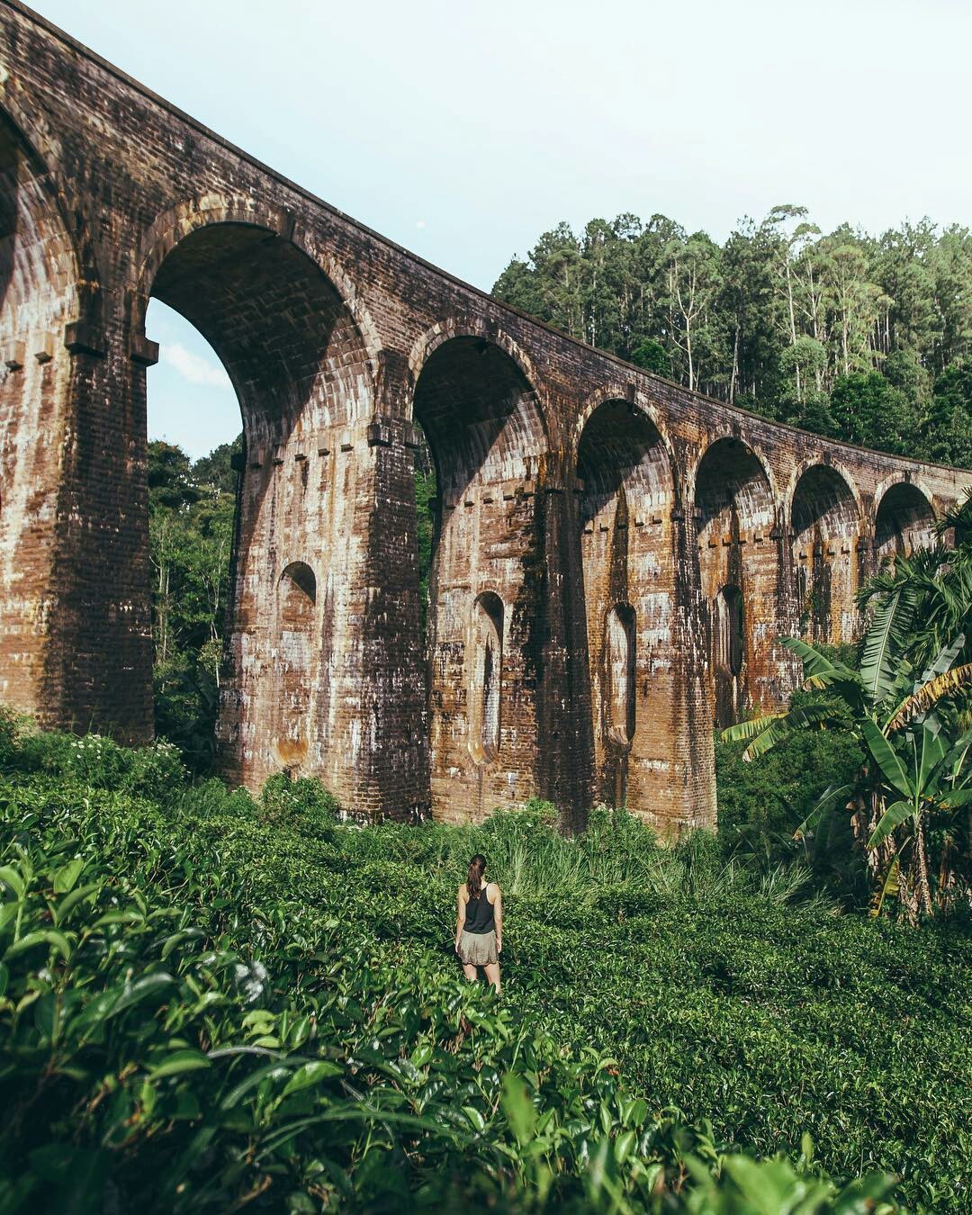 Stone railway bridge cutting through the jungle of Sri Lanka. - Sri Lanka, Bridge, The photo, Nature, beauty of nature, beauty, Interesting