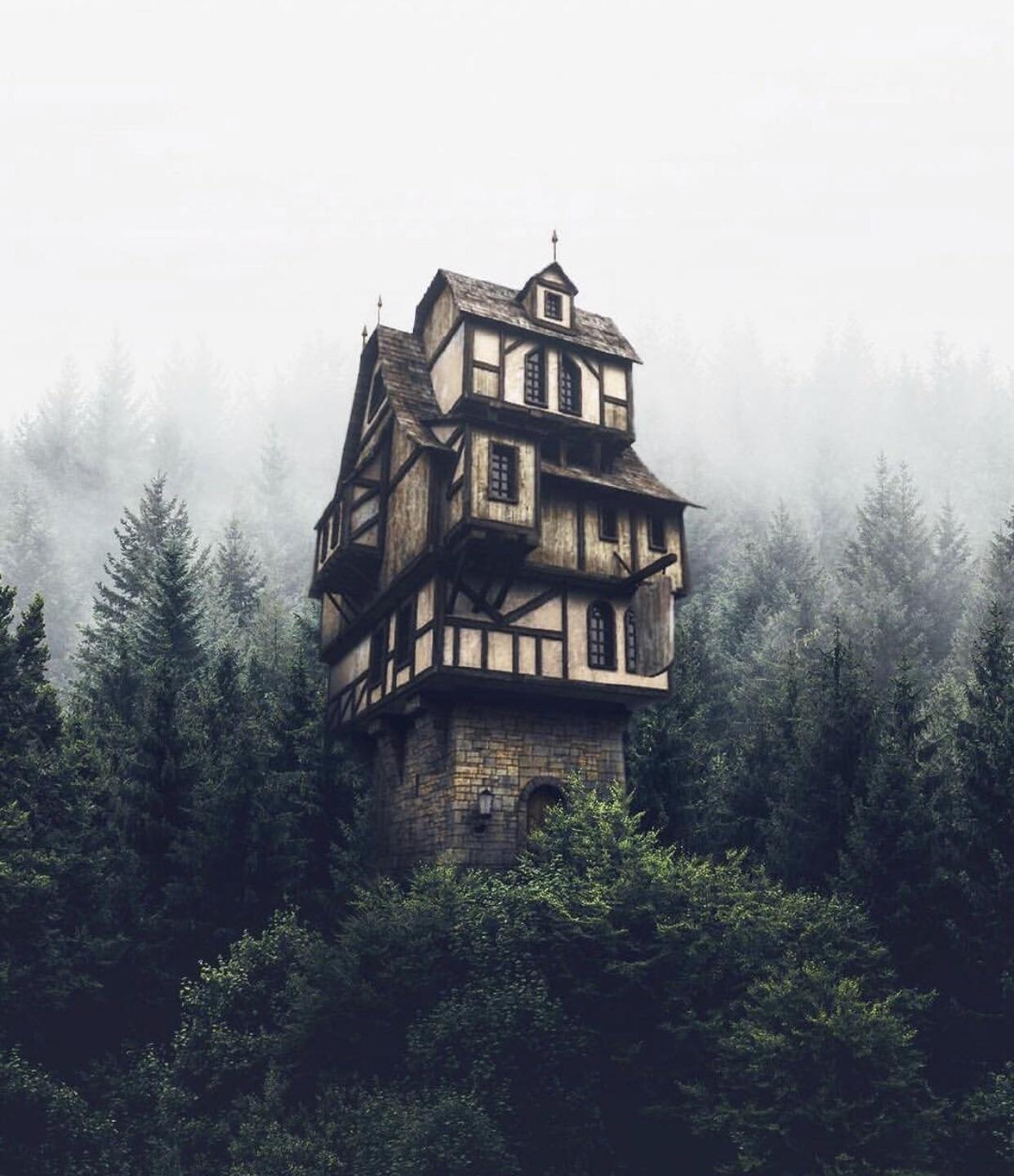 Small house - House, Forest, Germany, The photo