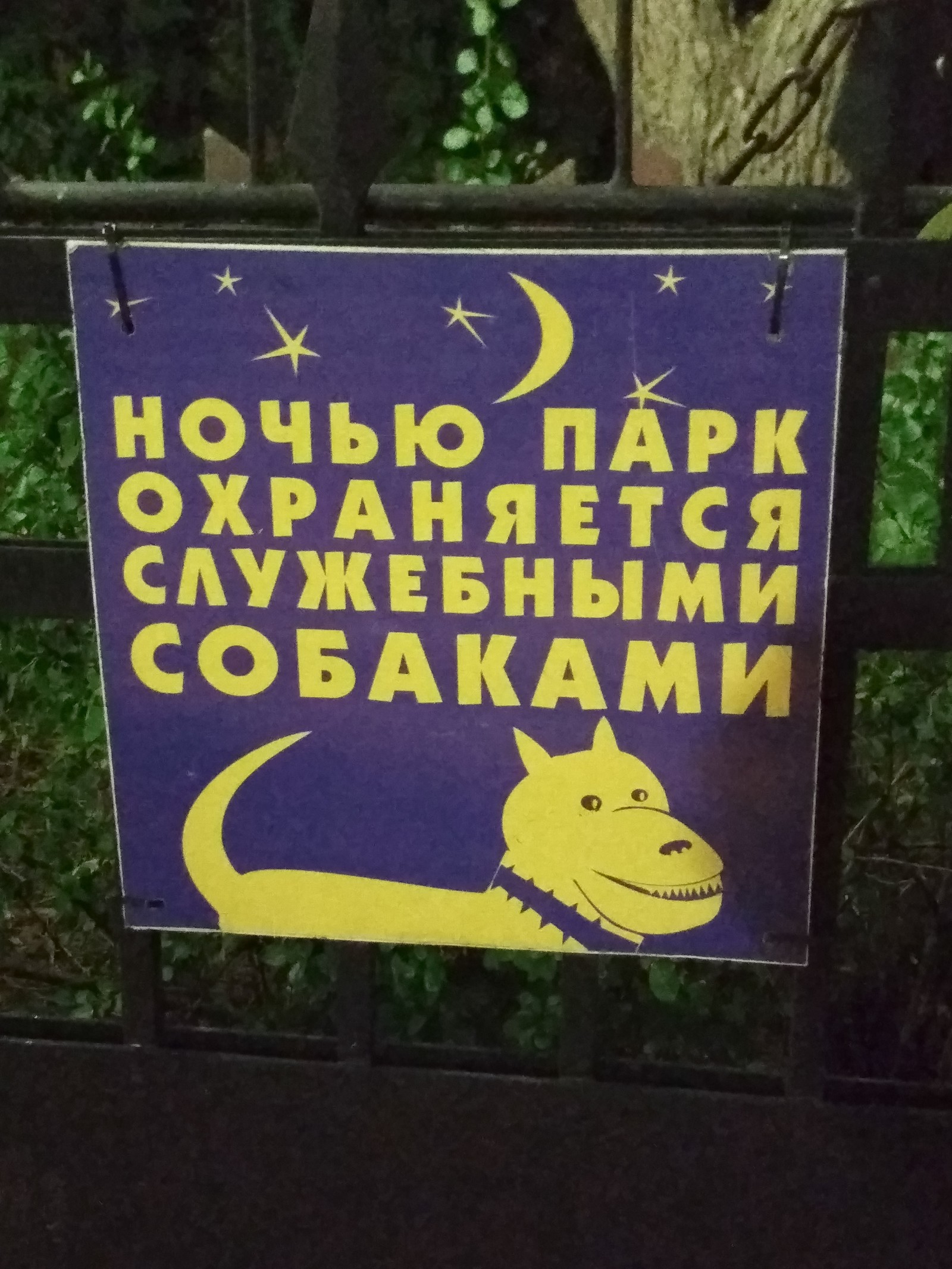 Будьте осторожны! - Моё, Санкт-Петербург, Осторожно злая собака, Парк аттракционов