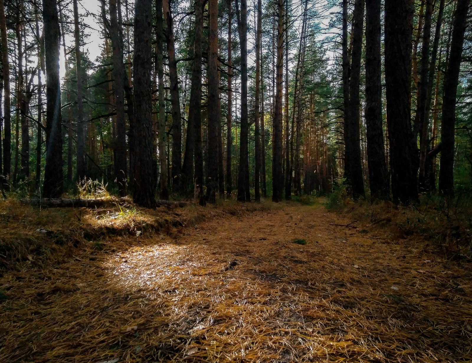 Autumn landscape - My, Autumn, Landscape, The photo, Kazan, Longpost