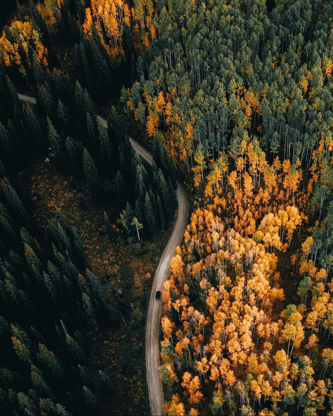 Autumn in Colorado. - Colorado, USA, America, Nature, beauty of nature, Autumn, The photo, beauty