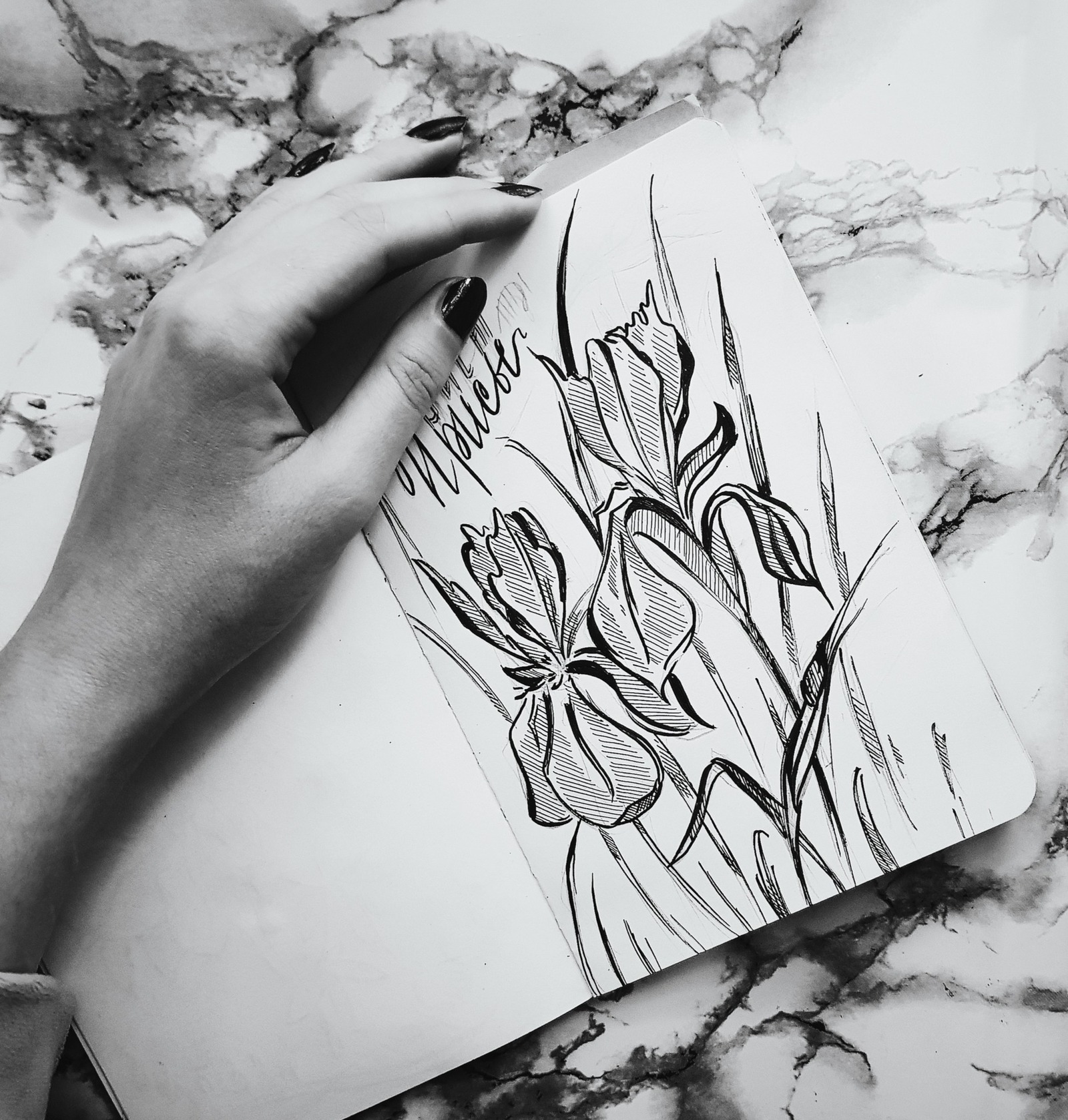 Black & white - My, Flowers, Graphics, Botanical illustration, Sketchbook, Drawing, Longpost