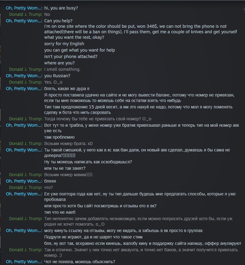 Friends gamers, be vigilant and do not trust suspicious people - My, Steam, Longpost, Divorce for money