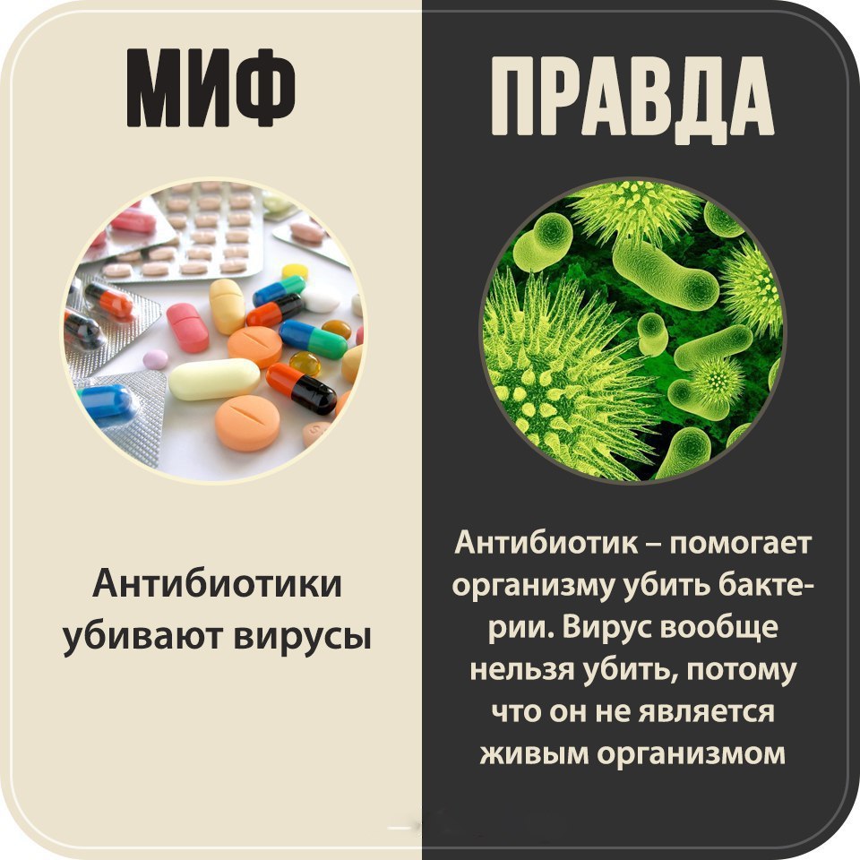 Myth or Truth - Antibiotics, Myths, Truth