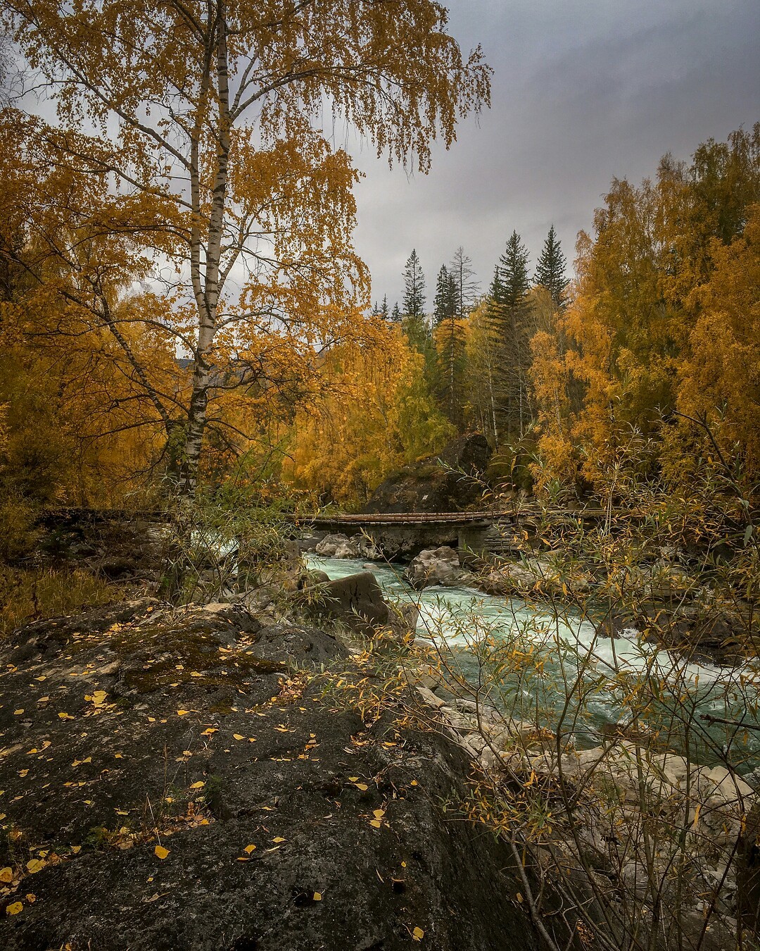 Пасмурный день на берегах Чуи, Алтайская осень. - Осень, Река, Алтай, Фотография, Природа, Красота природы, Дикая природа, Красота, Длиннопост, Республика Алтай