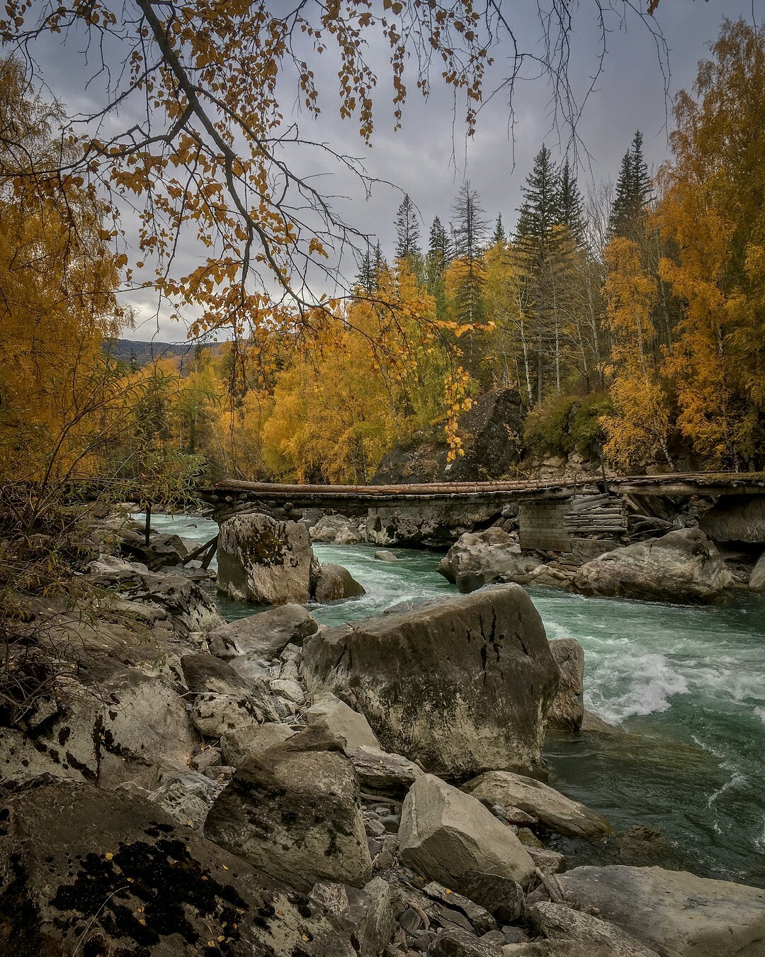 Пасмурный день на берегах Чуи, Алтайская осень. - Осень, Река, Алтай, Фотография, Природа, Красота природы, Дикая природа, Красота, Длиннопост, Республика Алтай