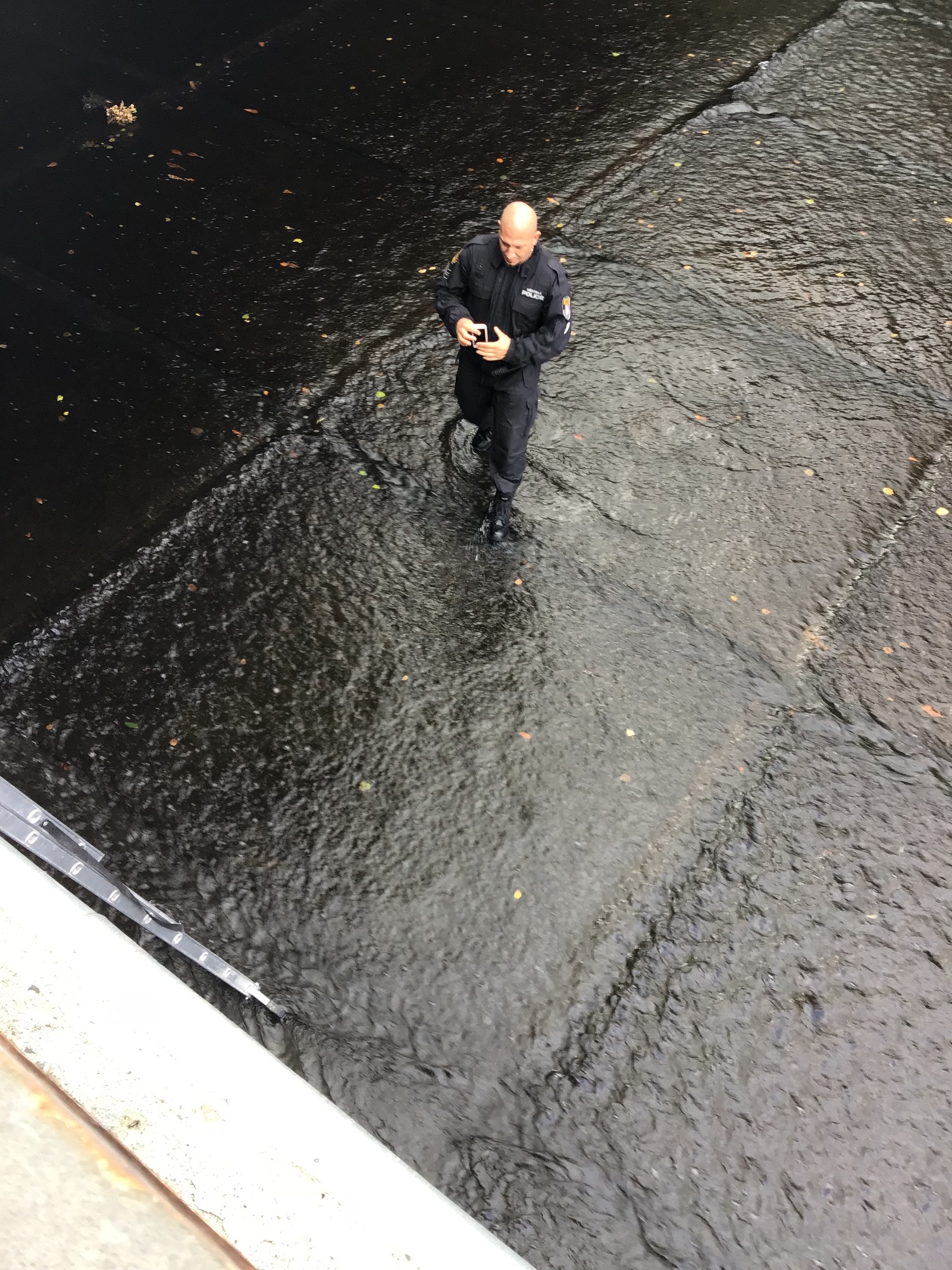 It happens... - My, Czech, Karlovy Vary, Police, The rescue, Longpost