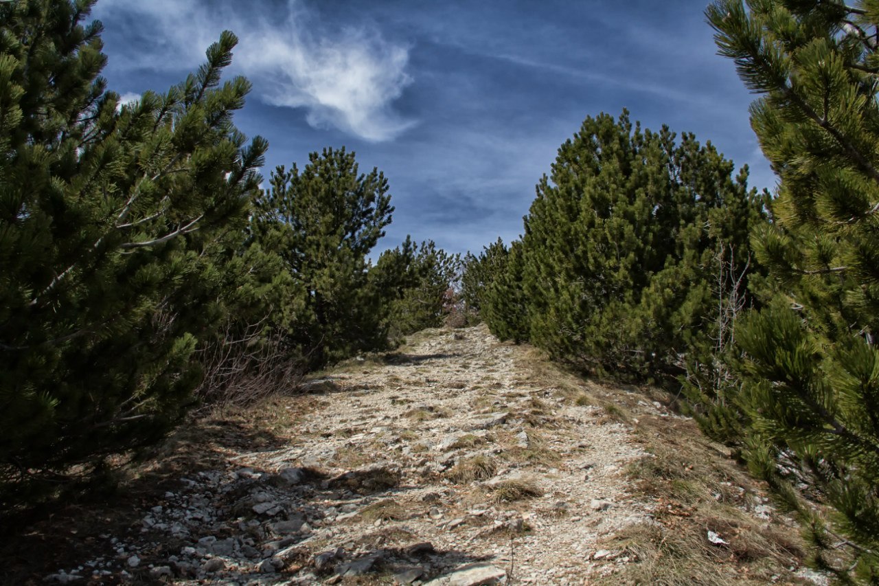 Montenegro. Lovcen. - My, Montenegro, Photographer, Travels, The photo, , Longpost, First post