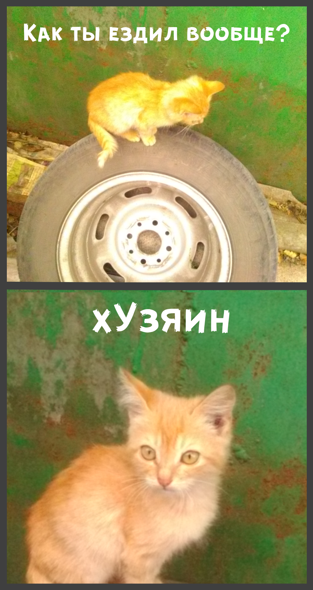 Watch the rubber, or the story of how I was going to change the wheel bearings ... - My, Auto, , cat, Longpost, Rubber