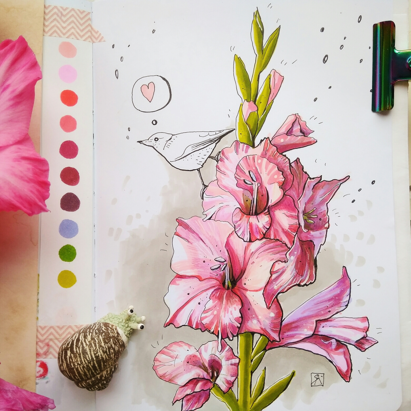 Gladiolus. - My, Gladiolus, Flowers, Plants, Drawing, Marker, Liner, Sketch, Sketchbook, Longpost