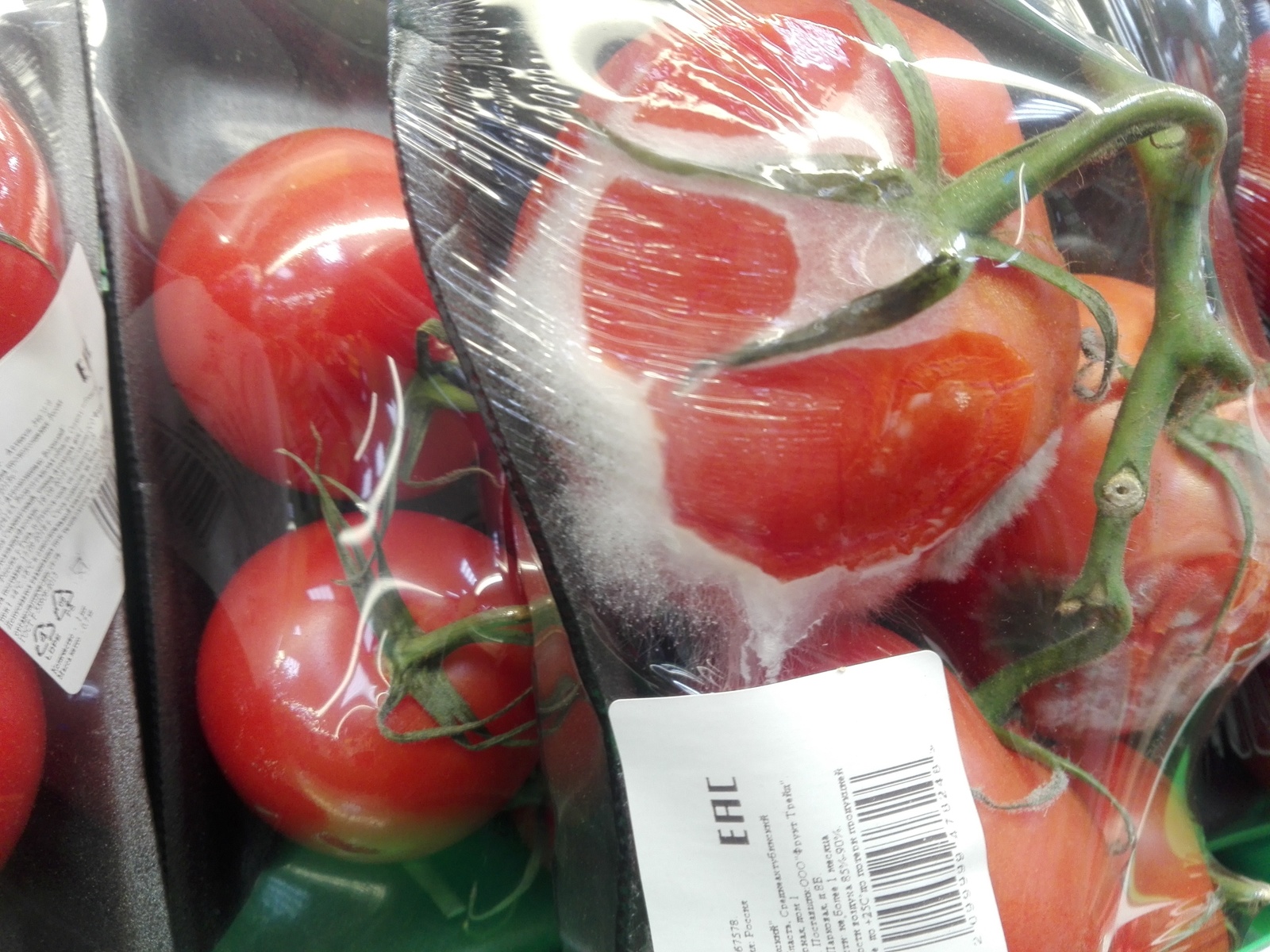 tomato freshness - My, Pyaterochka, Mold, Tomatoes, Longpost