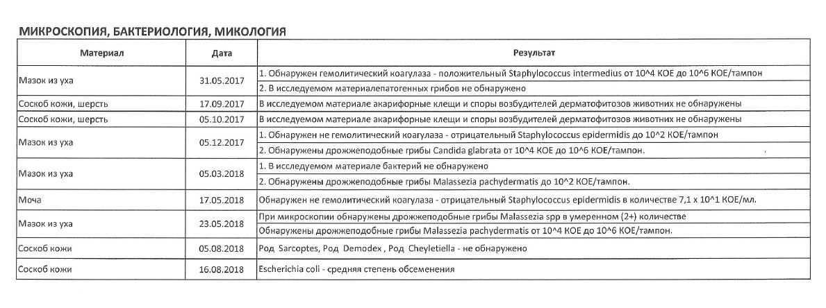 Прошу помощи ветеренаров и владельцев собак! - Моё, Ветеринар, Помощь, Здоровье, Сила Пикабу, Длиннопост