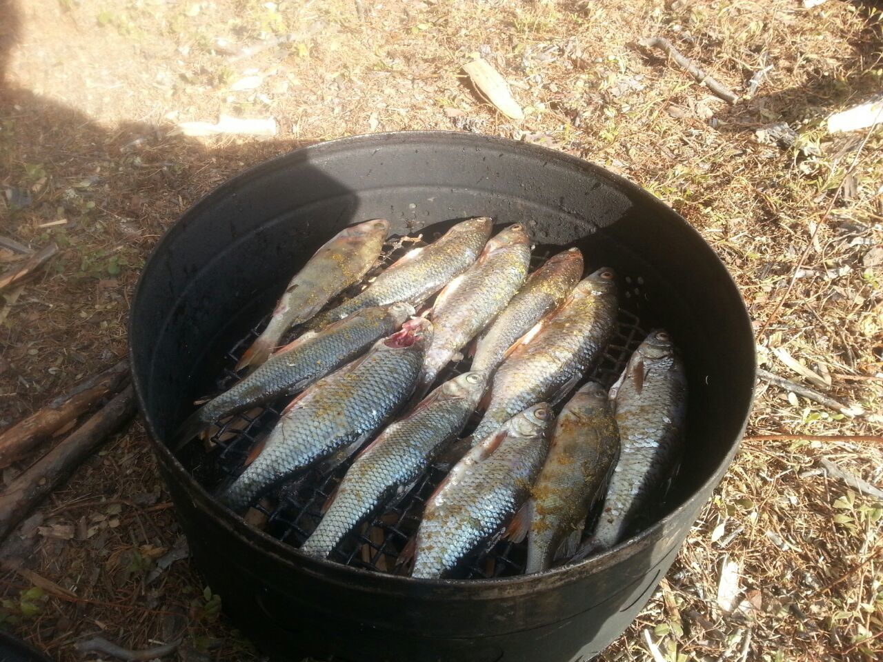 Lena tributary - Keteme - My, Pike, Whitefish, Redfish, Lena river, Inflatable boat, Bloater, Ear, Ice drift, Longpost