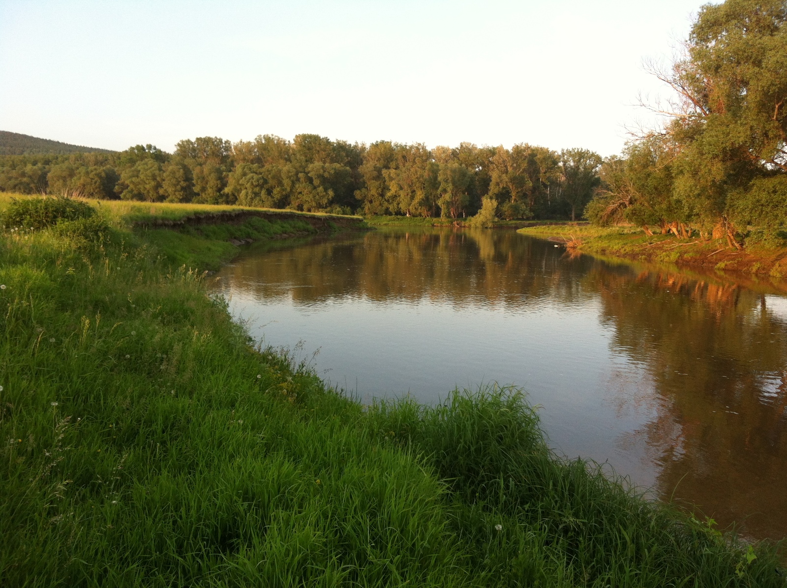 The charm of the Yuryuzan and Ai rivers and their inhabitants - My, River, Yuryuzan, River Ai, Fishing, Chub, , Longpost