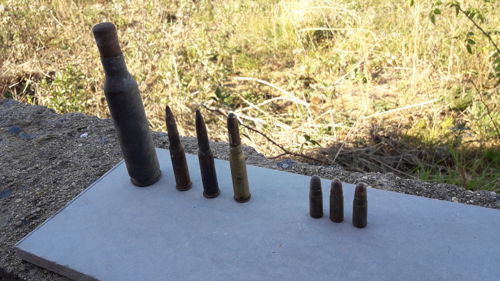 What ammo? - My, Cartridges, Weapon, Rifle